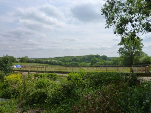 Michael Anthony Tring - WIGGINTON - view